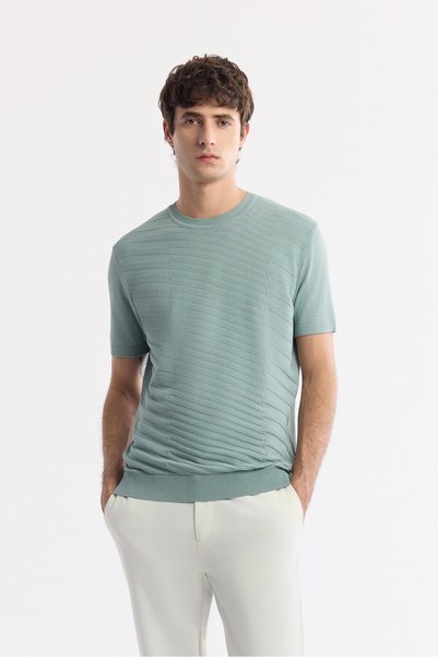 Avva Men's Nile Green Crew Neck Rayon Knitwear Regular Fit T-Shirt A51Y5004