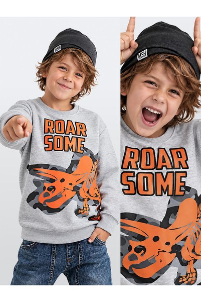 Denokids Hanorac gri Roar Boy