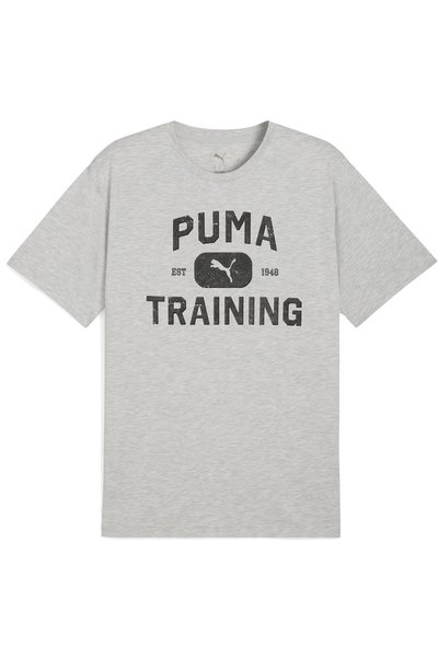 Puma 526568 m Graphics Train Logo Rlxd Tee T-Shirt Men's T-Shirt Gray