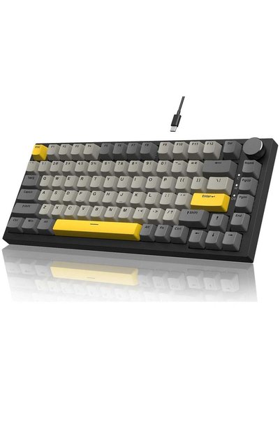 Ajazz AK820 Gaming Keyboard,75% Gasket-mounted Mechanical Gaming Keyboard wit...