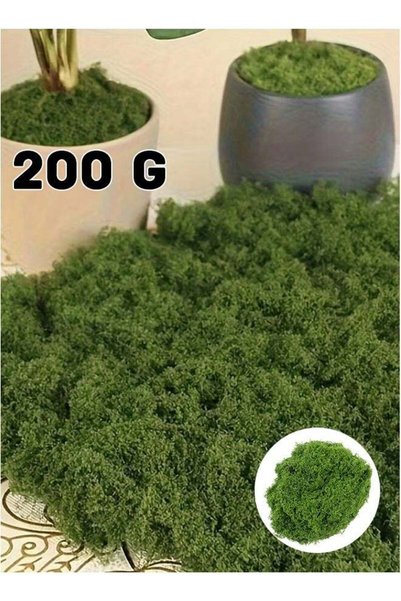 Realfrog عشب صناعي 200 جرام يحاكي الطحالب بشكل مثالي، عشب أخضر مزيف لتزيين ال...