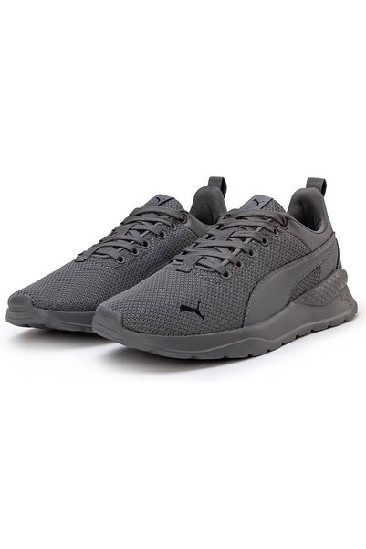 Puma Anzarun lite tdp sneaker, casual shoes, grey.