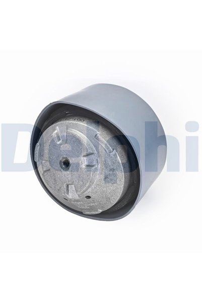 DELPHİ Suport motor TEM202, fata