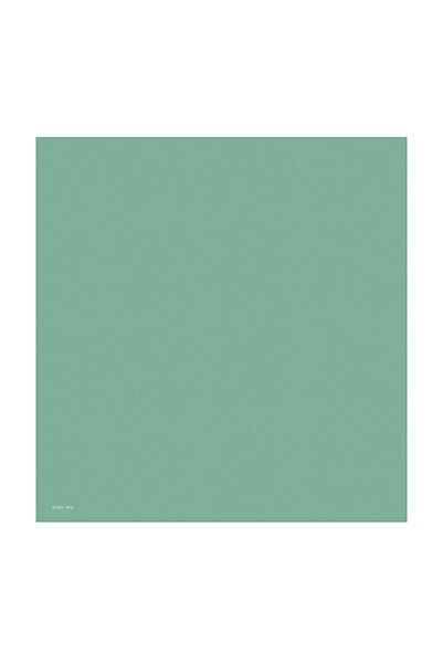 Bursa İpek Çardak Solid Color Twill Silk Scarf