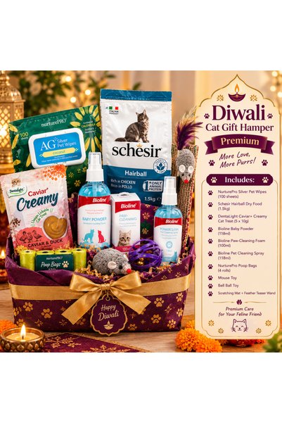 Duvo Plus Diwali Purrfect Indulgence – Cat Gift Hamper (Premium)