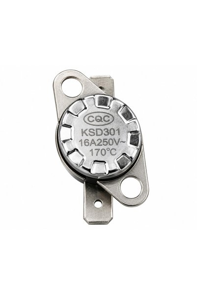 Generic Thermostat Temperature Control 170°C