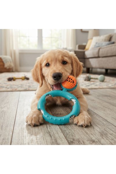 INURA GLOBAL Rope-Wrap Disk Dog Chew Toy - With Treat-Dispensing Mechanism