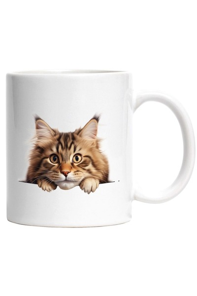 INOVATIX Personalized white mug, a surprised cat, looking carefully, amazed, ...