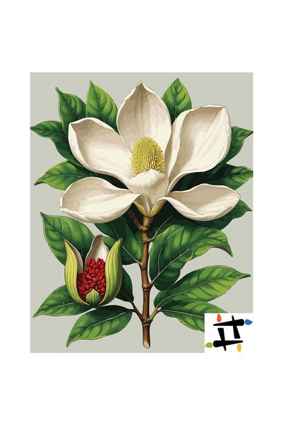 Painting-numbers Set pictura pe numere Magnolie in potirul de fildes 7258, pa...