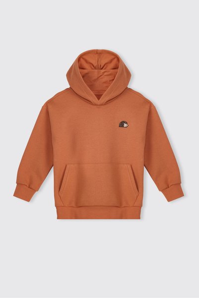 Panço Boys' Printed Orange Sweatshirt