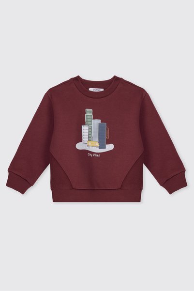 Panço Boys' Printed Burgundy Sweatshirt