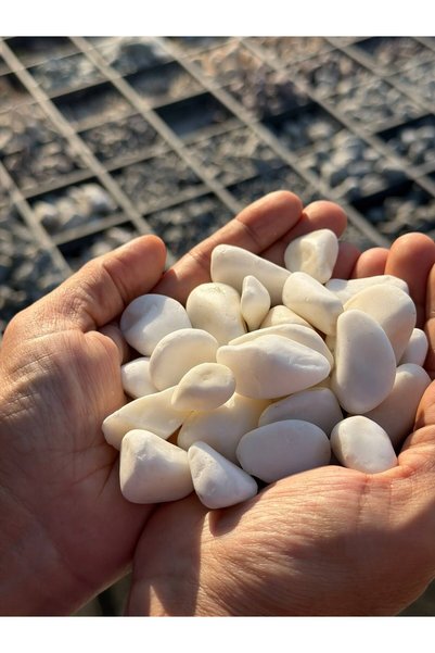 FABA Peyzajdepo Beyaz Dolamit Tamburlanmış Dekoratif Taş 1–3 cm 50 kg