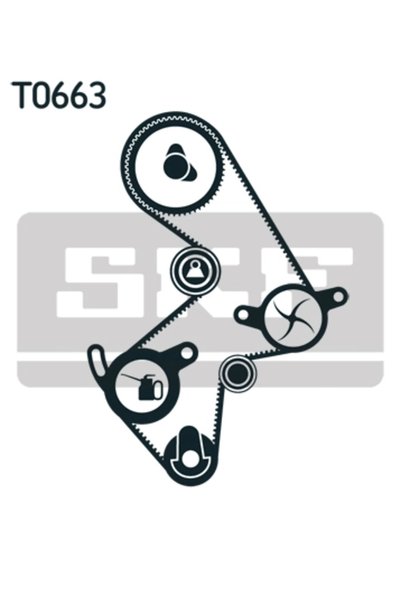 SKF Set pompă de apă + curea de distribuție VKMC 91003