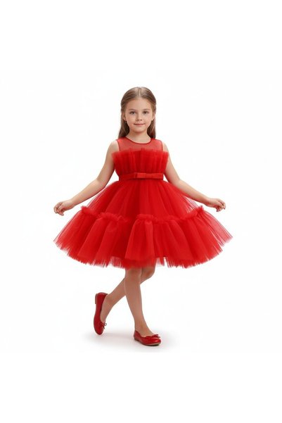 Bidani Red Elegance Dress