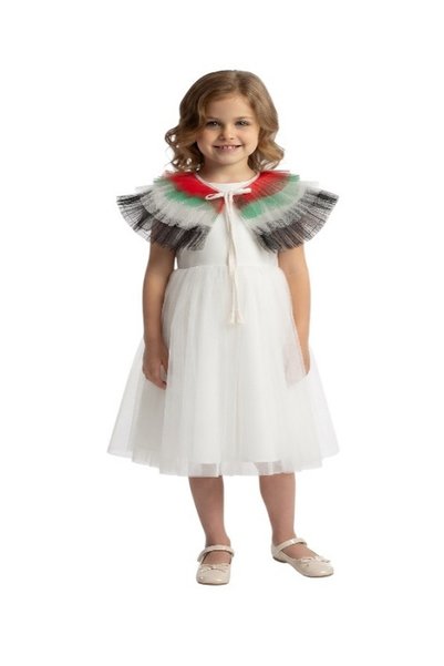 ddaniela 2-in-1 Girls UAE National Day Ruffle Sleeve Dress with Detachable Fl...