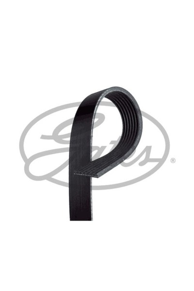 GATES KANALLI KAYIS MASTER G9U 2,5DCI KLIMASIZ