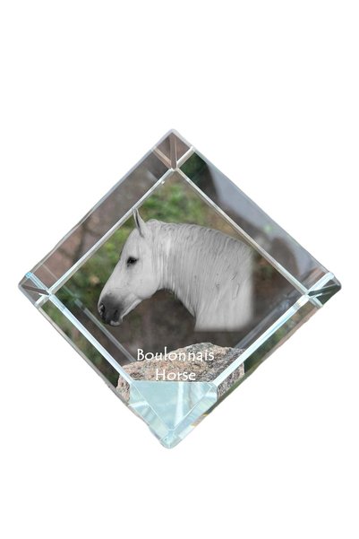 Art - Dog Prespapier cub de cristal Art-Dog, cal Boulonnais cu gravură de cal