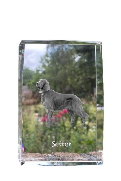 Art - Dog Art-Dog Cristal Mare cu Margini Decorative Setter Englez cu Gravură...