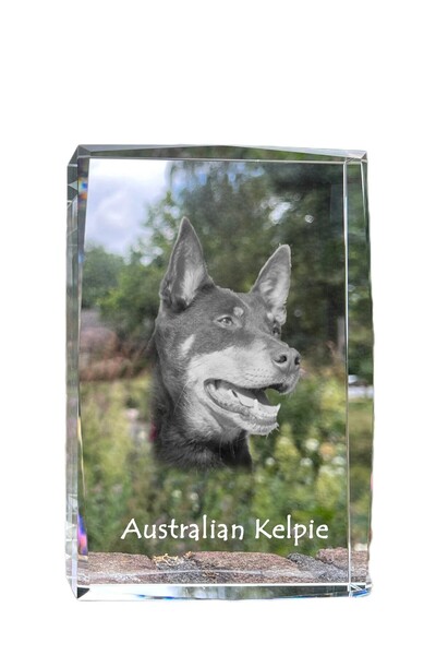 Art - Dog Art-Dog Cristal Mare cu Margini Decorative Kelpie Australian cu Gra...