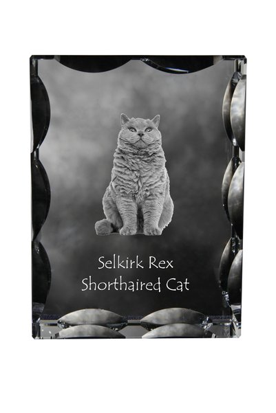 Art - Dog Art-Dog Cristal dreptunghiular cu margini decorative Selkirk Rex cu...