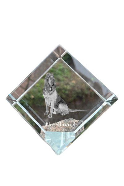 Art - Dog Prespapier cub de cristal Art-Dog Bloodhound cu gravură de câine - ...