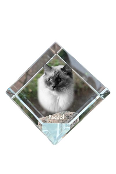 Art - Dog Prespapier cub de cristal Art-Dog, pisică Ragdoll cu gravură pisică...