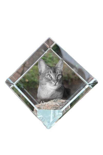Art - Dog Prespapier cub de cristal Art-Dog, pisică abisină cu gravură de pis...