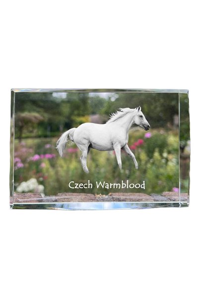 Art - Dog Art-Dog Cristal Mare cu Margini Decorative, Căluț Ceh Warmblood cu ...
