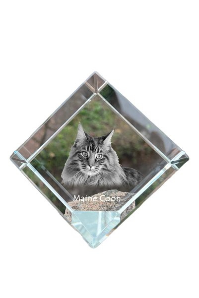 Art - Dog Prespapier cub de cristal Art-Dog Maine Coon cu gravură pisică - Cr...