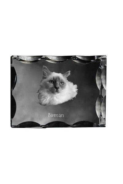 Art - Dog Art-Dog Cristal dreptunghiular cu margini decorative, pisică birman...