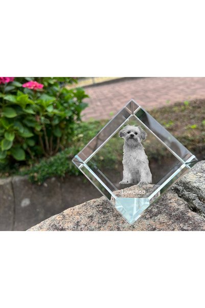 Art - Dog Prespapier cub de cristal Art-Dog Löwchen cu gravură de câine - Cri...