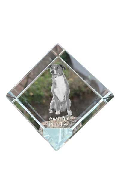 Art - Dog Prespapier cub de cristal Art-Dog cu Pinscher austriac și gravură c...