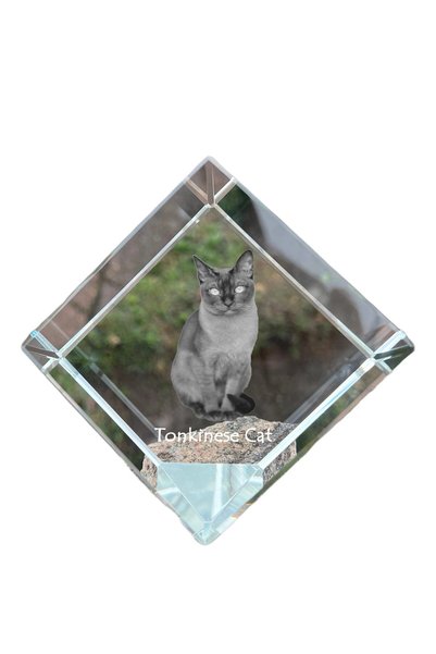 Art - Dog Prespapier Cub de Cristal Art-Dog Pisică Tonkinese cu Gravură Pisic...