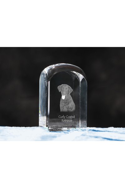 Art - Dog Prespapier de cristal Art-Dog Curly-Coated Retriever cu gravură de ...