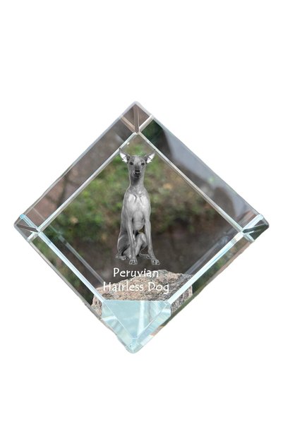 Art - Dog Prespapier cub de cristal Art-Dog, câine peruvian fără păr, cu grav...