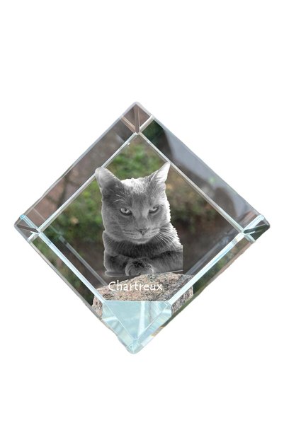 Art - Dog Prespapier cub de cristal Art-Dog Chartreux cu gravură pisică - Cri...