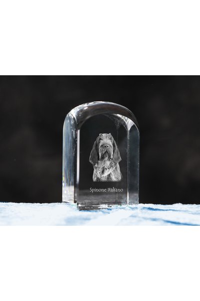 Art - Dog Prespapier de cristal Art-Dog, Spinone italian cu gravură de câine ...