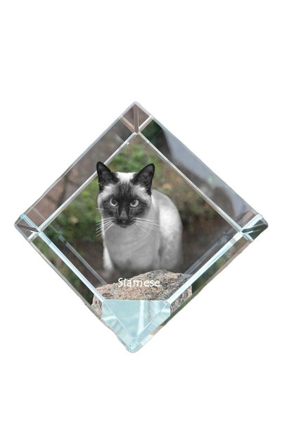 Art - Dog Prespapier Cub de Cristal Art-Dog Pisică Siameză cu Gravură - Crist...