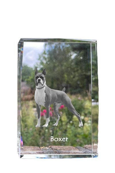 Art - Dog Art-Dog Cristal mare cu margini decorative, Boxer cu gravură de câine