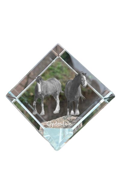 Art - Dog Prespapier cub de cristal Art-Dog, cal Clydesdale cu gravură de cal