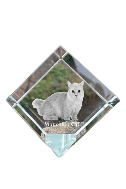 Art - Dog Prespapier cub de cristal Art-Dog Munchkin Cat cu gravură pisică - ...