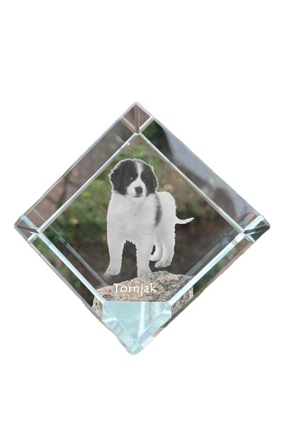 Art - Dog Prespapier cub de cristal Art-Dog Tornjak cu gravură de câine - Cri...