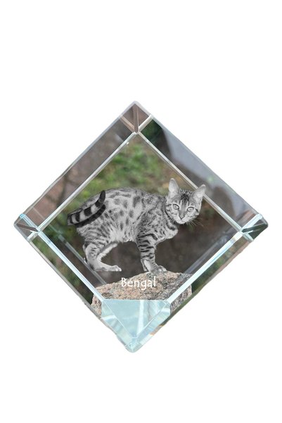 Art - Dog Prespapier Cub de Cristal Art-Dog Pisică Bengal cu Gravură - Crista...
