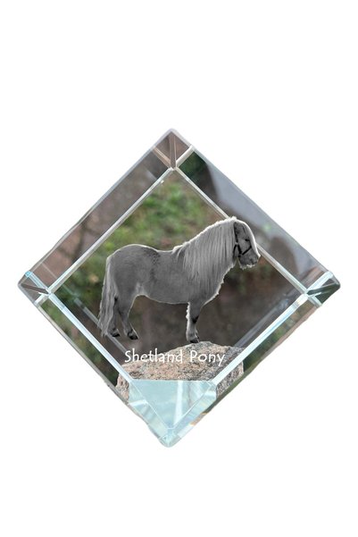 Art - Dog Prespapier Cub de Cristal Art-Dog Ponei Shetland cu Gravură de Cal ...