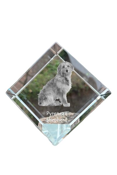 Art - Dog Prespapier cub de cristal Art-Dog, Șapca Pirineilor cu gravură de c...