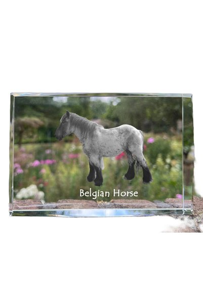 Art - Dog Art-Dog Cristal Mare cu Margini Decorative, Cal de Tracțiune Belgiu...