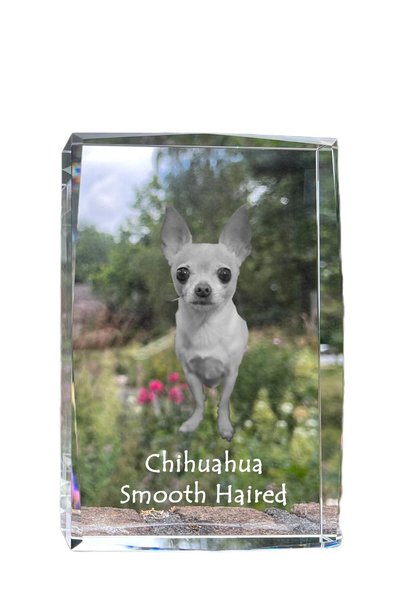 Art - Dog Art-Dog Cristal mare cu margini decorative, Chihuahua cu blană lung...