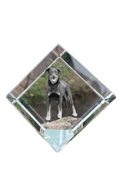 Art - Dog Prespapier Cub de Cristal Art-Dog Beauceron cu Gravură de Câine - C...