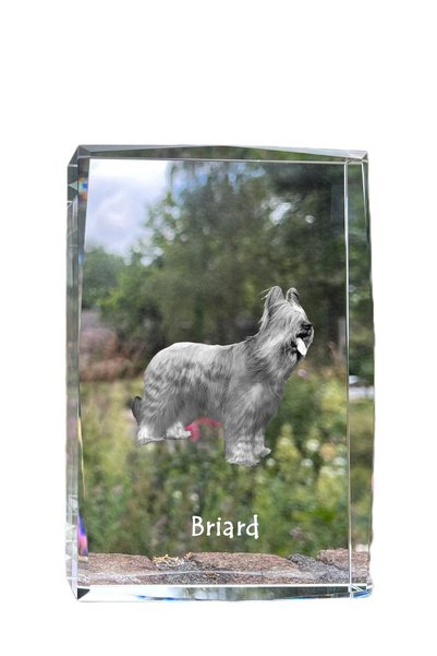 Art - Dog Art-Dog Cristal Mare cu Margini Decorative Briard cu Gravură Câine