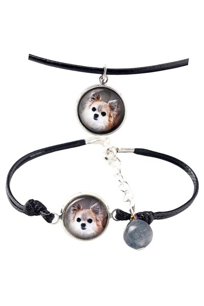 Art - Dog Set colier și brățară Chihuahua cu păr lung Art-Dog, cu fotografie ...